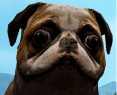 Neokolzia