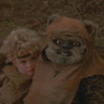 Muddbutte