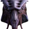 Species8472NL